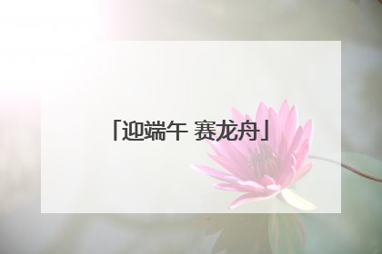 迎端午 赛龙舟
