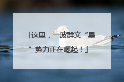 这里，一波群文“星”势力正在崛起！