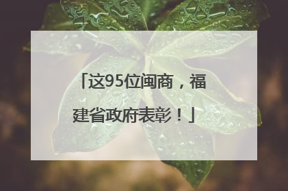 这95位闽商，福建省政府表彰！