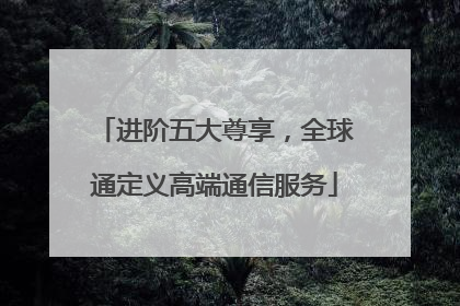 进阶五大尊享，全球通定义高端通信服务