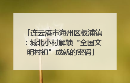连云港市海州区板浦镇：城北小村解锁“全国文明村镇”成就的密码