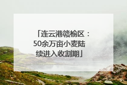 连云港赣榆区：50余万亩小麦陆续进入收割期