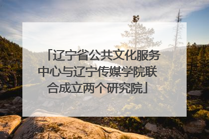 辽宁省公共文化服务中心与辽宁传媒学院联合成立两个研究院