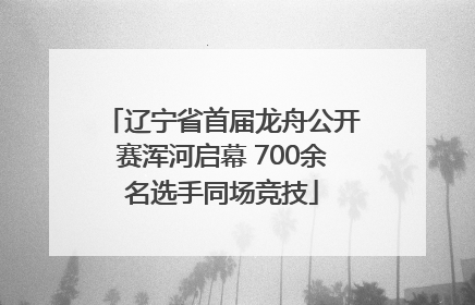 辽宁省首届龙舟公开赛浑河启幕 700余名选手同场竞技