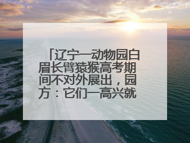 辽宁一动物园白眉长臂猿猴高考期间不对外展出，园方：它们一高兴就喜欢鸣叫，怕影响考试