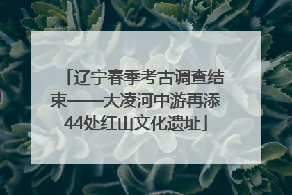 辽宁春季考古调查结束——大凌河中游再添44处红山文化遗址