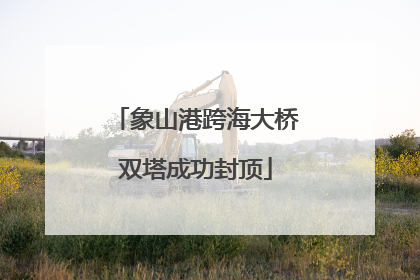 象山港跨海大桥双塔成功封顶