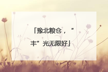 豫北粮仓，“丰”光无限好