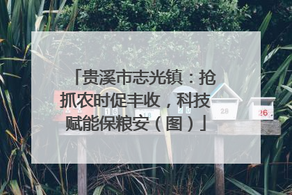 贵溪市志光镇：抢抓农时促丰收，科技赋能保粮安（图）