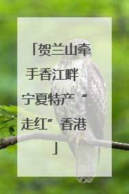 贺兰山牵手香江畔 宁夏特产“走红”香港