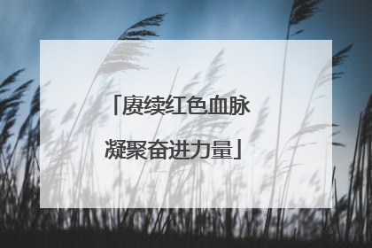 赓续红色血脉 凝聚奋进力量