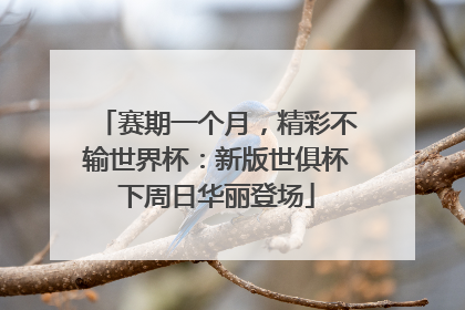 赛期一个月，精彩不输世界杯：新版世俱杯下周日华丽登场
