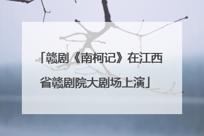 赣剧《南柯记》在江西省赣剧院大剧场上演