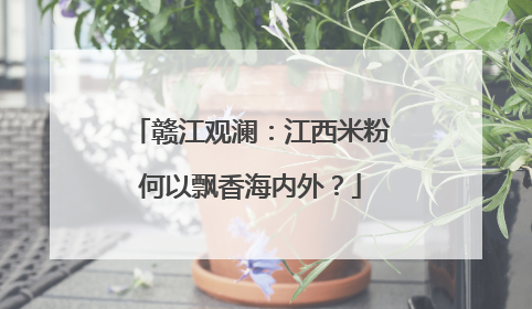 赣江观澜：江西米粉何以飘香海内外？