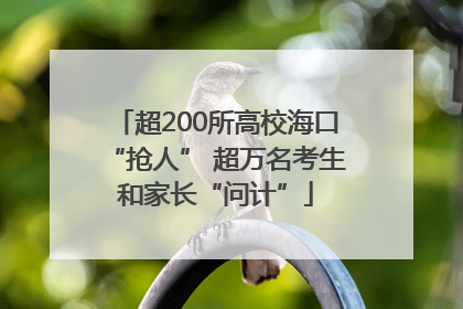 超200所高校海口“抢人” 超万名考生和家长“问计”