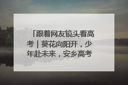跟着网友镜头看高考｜葵花向阳开，少年赴未来，安乡高考首日的希望图景