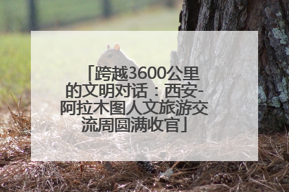 跨越3600公里的文明对话：西安-阿拉木图人文旅游交流周圆满收官