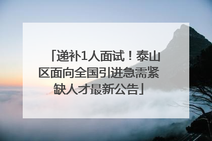 递补1人面试！泰山区面向全国引进急需紧缺人才最新公告