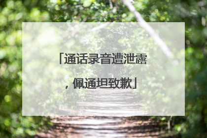 通话录音遭泄露，佩通坦致歉