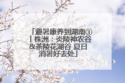 避暑康养到湖南③丨株洲：炎陵神农谷&茶陵花湖谷 夏日消暑好去处