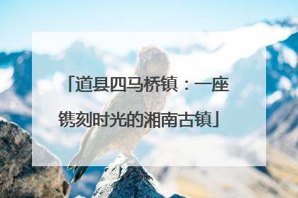 道县四马桥镇：一座镌刻时光的湘南古镇