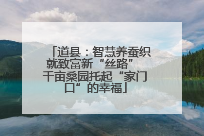 道县：智慧养蚕织就致富新“丝路” 千亩桑园托起“家门口”的幸福