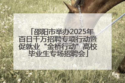 邵阳市举办2025年百日千万招聘专项行动暨促就业“金桥行动”高校毕业生专场招聘会