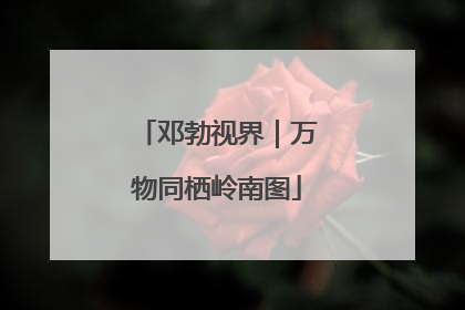 邓勃视界｜万物同栖岭南图