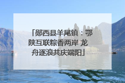郧西县羊尾镇：鄂陕互联粽香两岸 龙舟逐浪共庆端阳