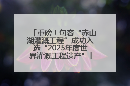 重磅！句容“赤山湖灌溉工程”成功入选“2025年度世界灌溉工程遗产”