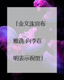 金文洙宣布败选 向李在明表示祝贺