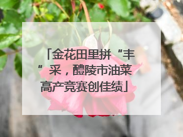 金花田里拼“丰”采，醴陵市油菜高产竞赛创佳绩