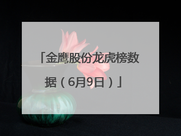 金鹰股份龙虎榜数据（6月9日）