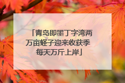 青岛即墨丁字湾两万亩蛏子迎来收获季 每天万斤上岸