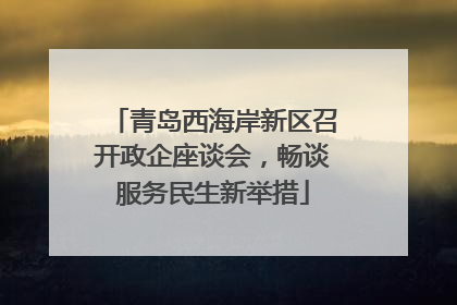 青岛西海岸新区召开政企座谈会，畅谈服务民生新举措