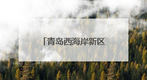 青岛西海岸新区大场镇：多元联动、智治无忧，提升综治中心新效能