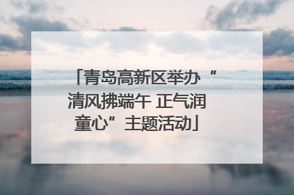 青岛高新区举办“清风拂端午 正气润童心”主题活动