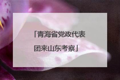 青海省党政代表团来山东考察