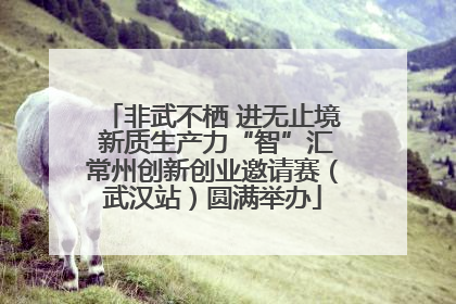 非武不栖 进无止境 新质生产力“智”汇常州创新创业邀请赛（武汉站）圆满举办