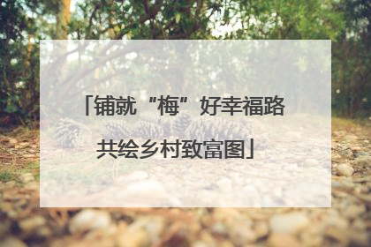 铺就“梅”好幸福路 共绘乡村致富图