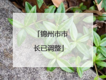 锦州市市长已调整