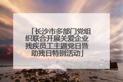 长沙市多部门党组织联合开展关爱企业残疾员工主题党日暨助残日特别活动