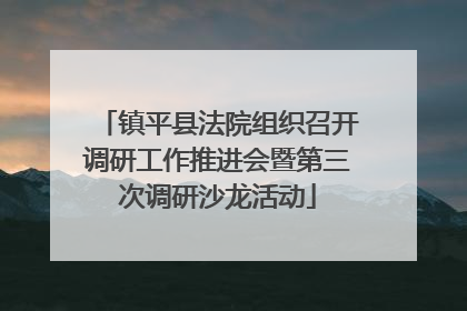 镇平县法院组织召开调研工作推进会暨第三次调研沙龙活动