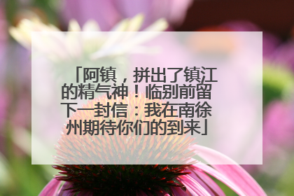 阿镇，拼出了镇江的精气神！临别前留下一封信：我在南徐州期待你们的到来