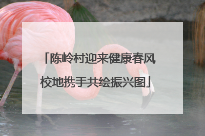 陈岭村迎来健康春风 校地携手共绘振兴图