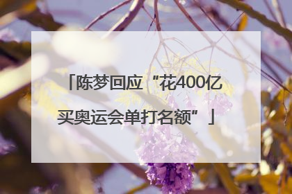 陈梦回应“花400亿买奥运会单打名额”