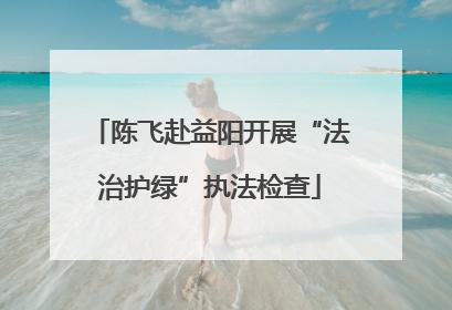 陈飞赴益阳开展“法治护绿”执法检查
