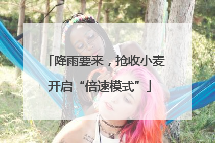 降雨要来，抢收小麦开启“倍速模式”