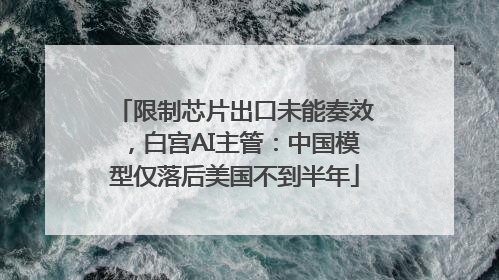 限制芯片出口未能奏效，白宫AI主管：中国模型仅落后美国不到半年