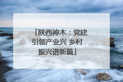 陕西神木：党建引领产业兴 乡村振兴谱新篇